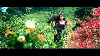 മലയാളികളുടെ അഹങ്കാരമാണ് ഈ മനോഹരഗാനങ്ങൾ Golden Hits K S Chithra Malayalam Hits  Evergreen Hits [upl. by Nwhas]