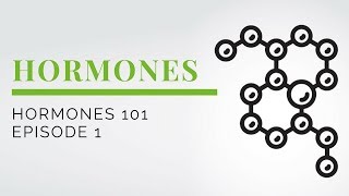 Hormones 101 E1 [upl. by Charita21]