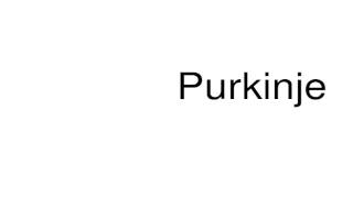 How to pronounce Purkinje [upl. by Anerys788]