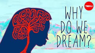 Why do we dream  Amy Adkins [upl. by Jeremiah]