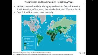 Virology Chapter 12 Part 1 Hepatitis Viruses [upl. by Nimad972]