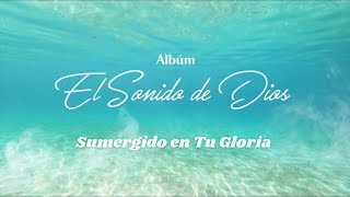 SUMERGIDO EN TU GLORIA  Noemi Maizo Video Letra [upl. by Eidok]