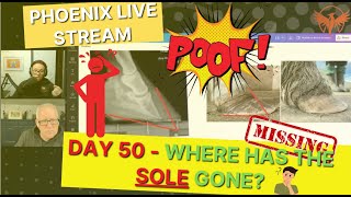 Day 50  Where has the SOLE GONE 🤔 toe chopping REMOVES sole 😨 [upl. by Roxy]