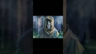 The deadliest follower in Skyrim games Bethesda skyrim videogames xbox360 magic [upl. by Novikoff]