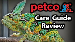 Reviewing Petcos veiled chameleon care guide [upl. by Evante]