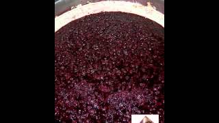 Vinification en rouge  macération [upl. by Aicilanna]