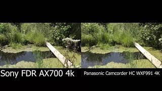 Sony FDR AX700 4k VS Panasonic Camcorder HC WXF991 4K at Three Rivers State Wildlife Management Area [upl. by Andersen]