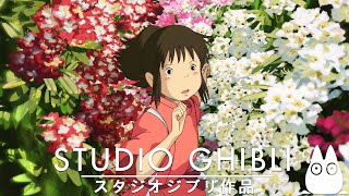 Playlist  ベスト ジブリ ピアノ メドレー プレイリスト 2024🎹Relaxing Studio Ghibli music️ 🎶 秋が来ると優しいジブリピアノの音色をお楽しみください [upl. by Subak695]