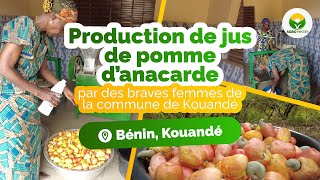 Une association de femme nous fait découvrir le processus de production du jus de pomme de cajou [upl. by Ahsineg]