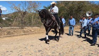 Cabalgata San Felipe de Híjar Jalisco 03 febrero 2024 [upl. by Tanya]