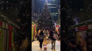 Bryant Park Christmas Tree 2024 shorts christmas bryantpark newyork [upl. by Enorej566]