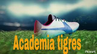 Somos tigres academia az [upl. by Hawkins]