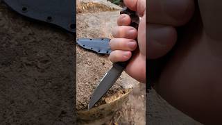 Winkler Knives Contingency edc amp hunting knife razor sharp from my tormek t8 allingrind [upl. by Hastie]