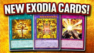 Exodia Has 10 New Support Cards [upl. by Yelrak]