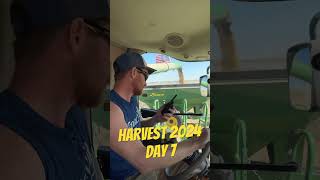 Day 7 Harvest 2024 part 1 farmequipment farming youtubeshorts [upl. by Suneya]