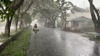 Super Heavy Rainstorm and Rumbling Thunder in a Small Indonesian City  Rain Sounds For Sleeping [upl. by Fin923]