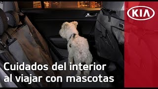 ¿Cómo cuidar el interior de tu KIA si viajas con mascotas  KIA MOTORS MÉXICO [upl. by Yerroc]