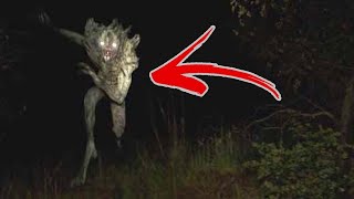 Top 5 REAL Scary Cryptid Encounters [upl. by Sou]