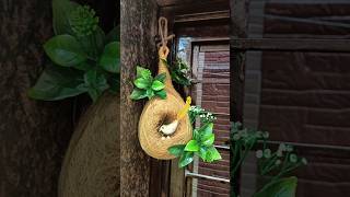 Bird Nest Decor Amazing bird Nest Decor idea Beautiful Nest Decoration craftdiy art yt ytshort [upl. by Henleigh]