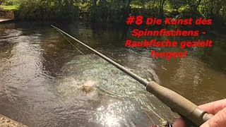 8 Die Kunst des Spinnfischens  Raubfische gezielt fangen 🎣 [upl. by Fanning878]