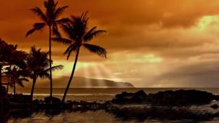 Hawaiian Islands Music Traditional Hawaiian Songs for Deep Relaxation [upl. by Bernette]