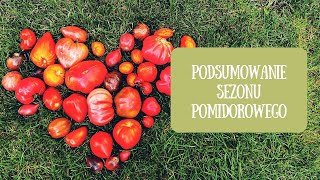 Podsumowanie sezonu pomidorowego Ile kg pomidorów udało mi się zebrać w tym roku [upl. by Jerrylee478]