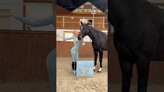 Da ist er wieder Der Horsebrands Adventskalender für ALLE Reiter 😍🐴 equestrain short viral [upl. by Neetsirhc]