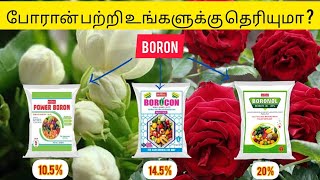 Boron  Micronutrient Fertilizer  Symptoms  Uses  Dose [upl. by Otirecul437]