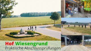 Praktische Abschlussprüfung  Landwirt  auf dem Hof Wiesengrund [upl. by Darach291]