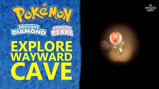 How to Explore Wayward Cave in Pokemon Brilliant Diamond amp Shining Pearl [upl. by Tressia800]