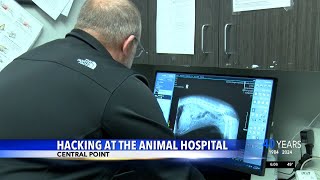 Cyber attack halts some animal hospital operations [upl. by Brok102]