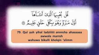 Surah Yaseen Yasin Rumi  English by Mishaari Raashid alAafaasee [upl. by Labotsirc328]