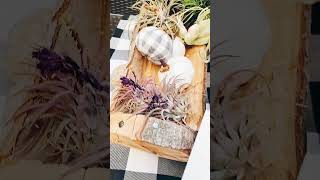 quotTransform Your Space Stunning Driftwood amp Airplant Fall Decor Ideasquot [upl. by Carnes217]