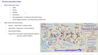 The role of mitochondria in disease [upl. by Helgeson]