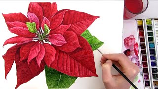 How to paint a realistic Poinsettia for your Christmas card in watercolour [upl. by Zel]