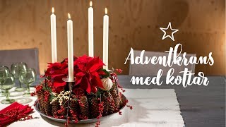 DIY Adventskrans med kottar och julstjärnor [upl. by Norah]