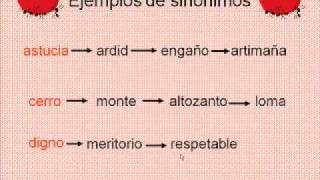 Sinonimos Antonimos Paronimos 6º prim y 1º sec R Verbal [upl. by Dyanna]