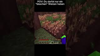 POV Du darfst nur quotein bisschenquot Weizen haben minecraft minecraftgameplay gaming funny [upl. by Ahidam289]