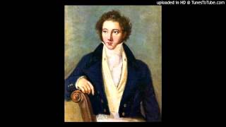 Vincenzo Bellini  Sinfonia in re minore  II Allegro con spirito [upl. by Mildrid]