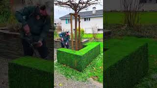 Satisfying GRASS CUTTING vs Leaf Raking Which is Better for Your Lawn [upl. by Olen444]