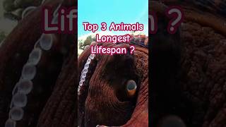 quotTop 3 Animals with the Longest Lifespans 🐢🦈 Over 500 Yearsquot [upl. by Naeerb]