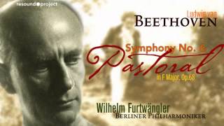 Beethoven  Pastoral Symphony  Furtwangler 1947 live [upl. by Kalle667]