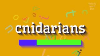 CNIDARIANS  HOW TO SAY CNIDARIANS cnidarians [upl. by Ellis30]