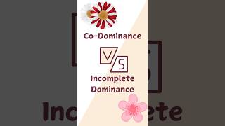 CoDominance vs Incomplete dominance  Basic Genetics codominance incompletedominance genetics [upl. by Harriot]