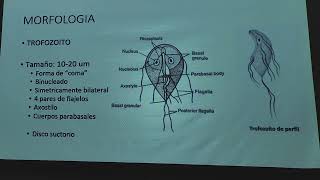 Giardiasis Amebiasis  Dr Carr [upl. by Asalocin]