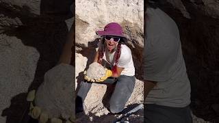 15 pound geode reveal from Dugway Geo beds Geology ￼ crystals rockhound ￼ [upl. by Vtarj696]