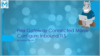 Flex Gateway Part V  TLS Context  Enable Inbound TLS on API added to Flex Gateway  Secret Manager [upl. by Judenberg]