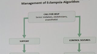 Eclampsia Algorithm mangement  and  International patient safety goals [upl. by Eltsyrc]