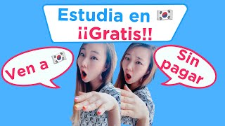 Estudiar en Corea del sur con beca completa ¡Todo lo que tienes que saber [upl. by Yrrol104]