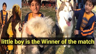 Dog show  Horse Show  cricket Match  Love letter Little boy winner of the match  Fun Happiness [upl. by Lemhar540]